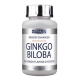 GINKGO BILOBA 100 tavolette